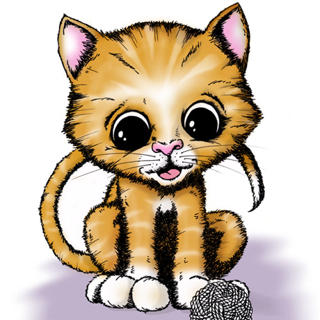 Kitten