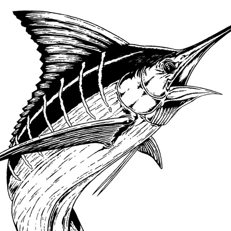 Blue Marlin